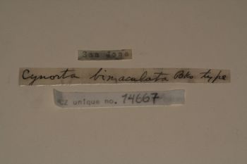 Media type: image; Invertebrate Zoology 14667